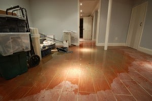 Basement Waterproofing in Maine and New Hampshire with B-Dry